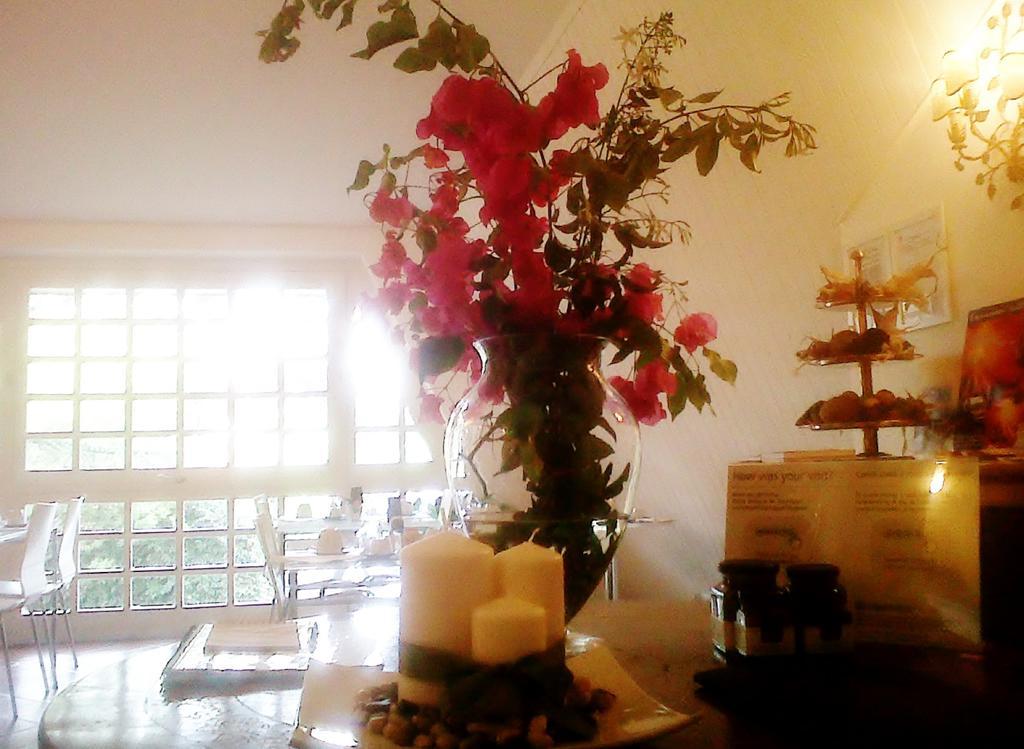 סן ג'ורג'ו די קטניה Bed And Breakfast Aloisio מראה חיצוני תמונה