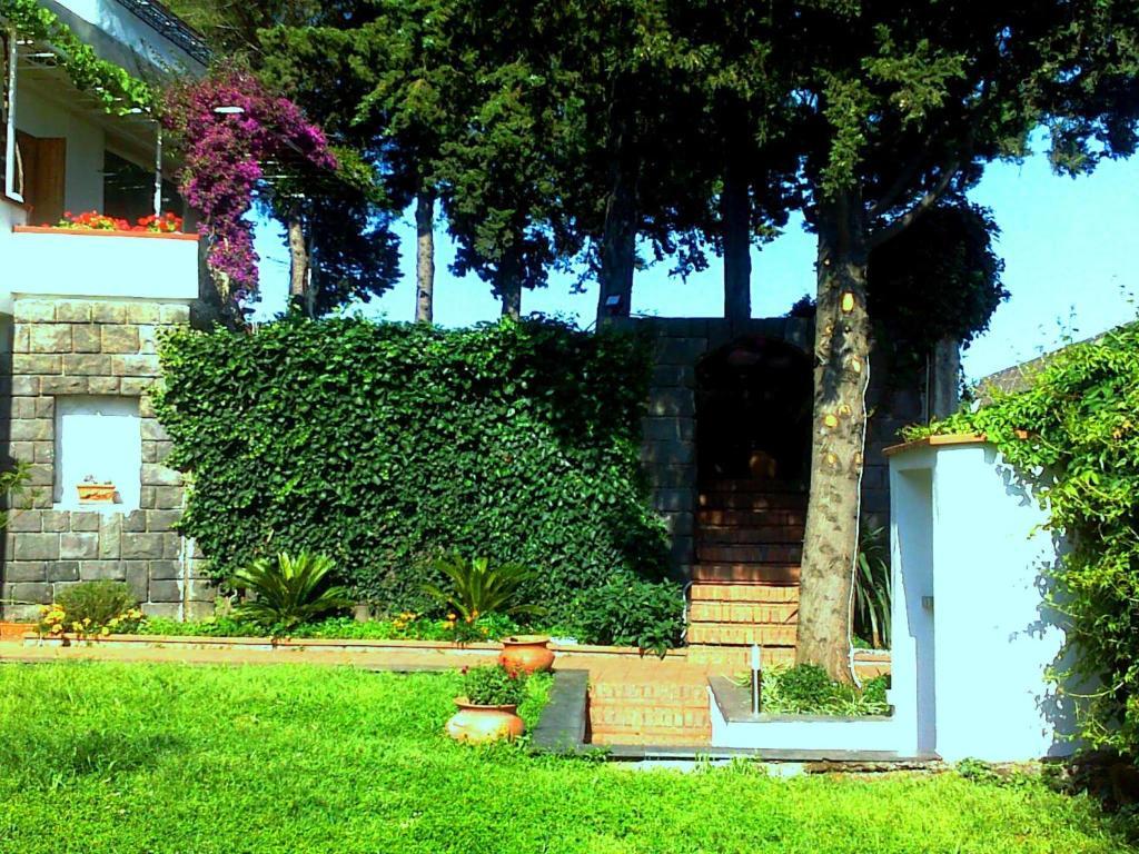 סן ג'ורג'ו די קטניה Bed And Breakfast Aloisio מראה חיצוני תמונה