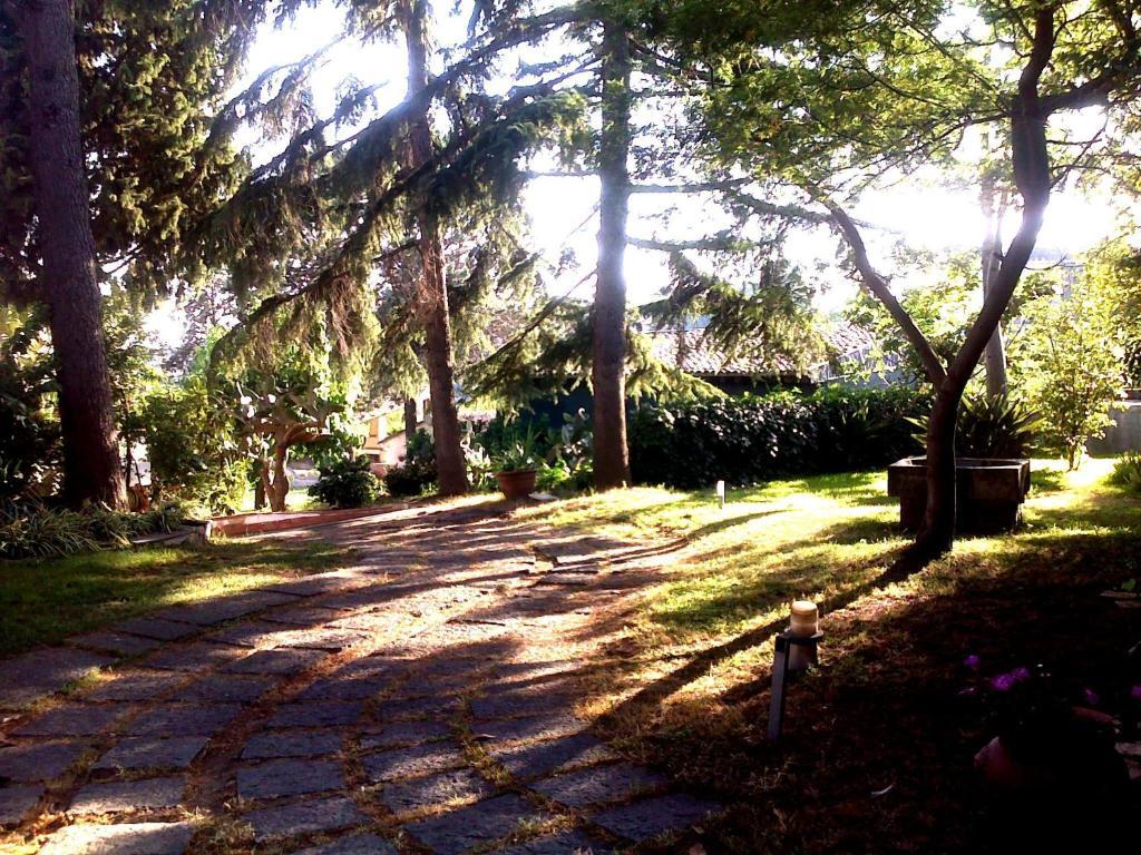 סן ג'ורג'ו די קטניה Bed And Breakfast Aloisio מראה חיצוני תמונה